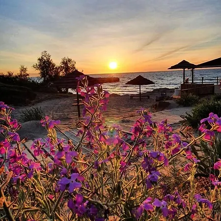 Gallipoli Mancaversa Futura Andrea Апартаменты *
